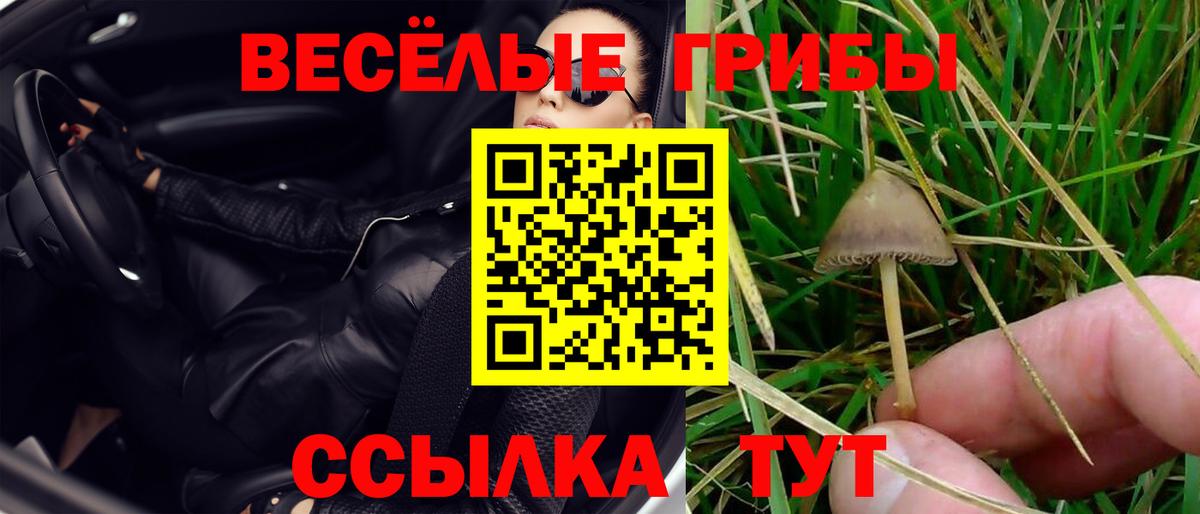 Псилоцибиновые грибы GOLDEN TEACHER  Вход с VPN  Ессентуки 