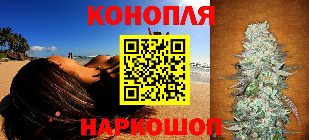 Конопля план Ессентуки